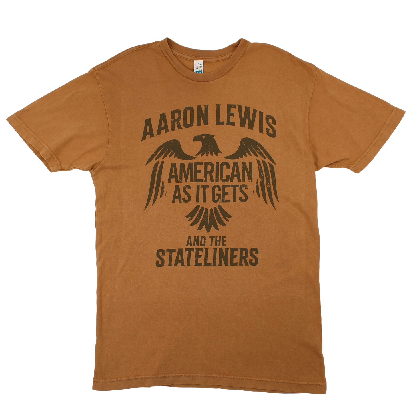 Aaron Lewis - Not Brainwashed Tee (Vintage Camel)